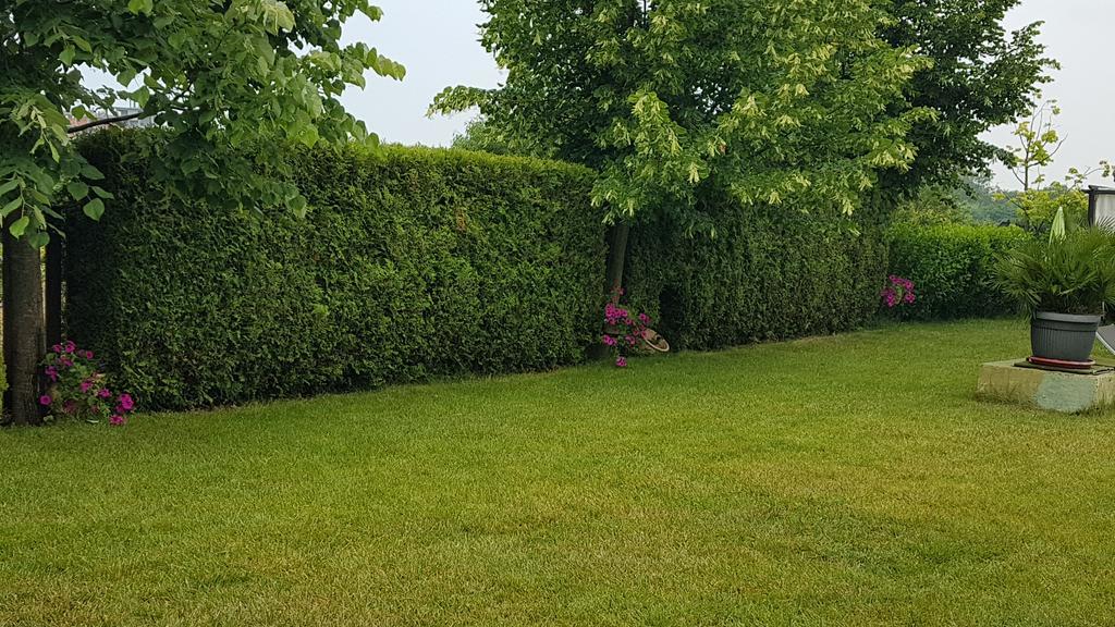 Aheloy Apartments Zewnętrze zdjęcie